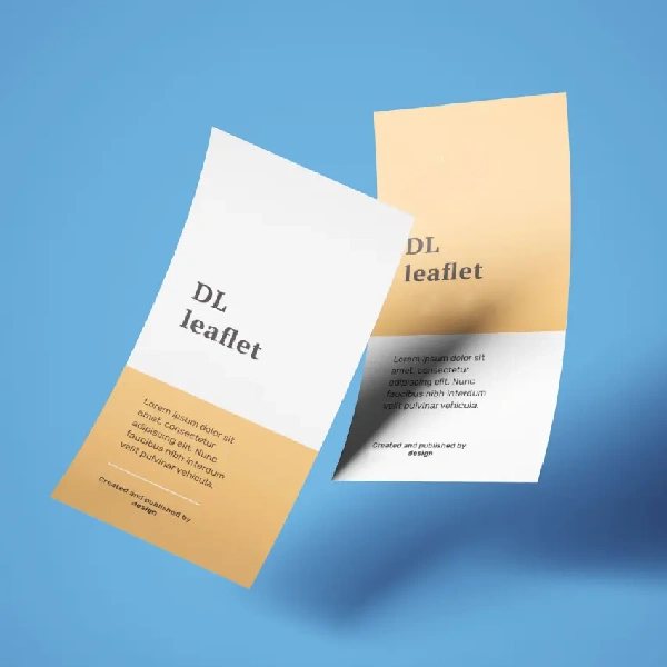 Custom Flyers