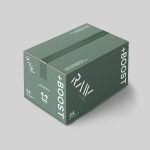 Regular Slotted Container