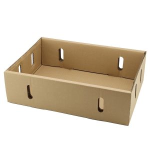 Corrugated Tray Box