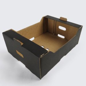 Corrugated Tray Box